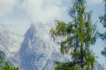 Schneebedeckte Berge mit Bäumen im Vordergrund