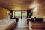 Helles, modernes Zimmer mit Holzwänden und Fensterfront