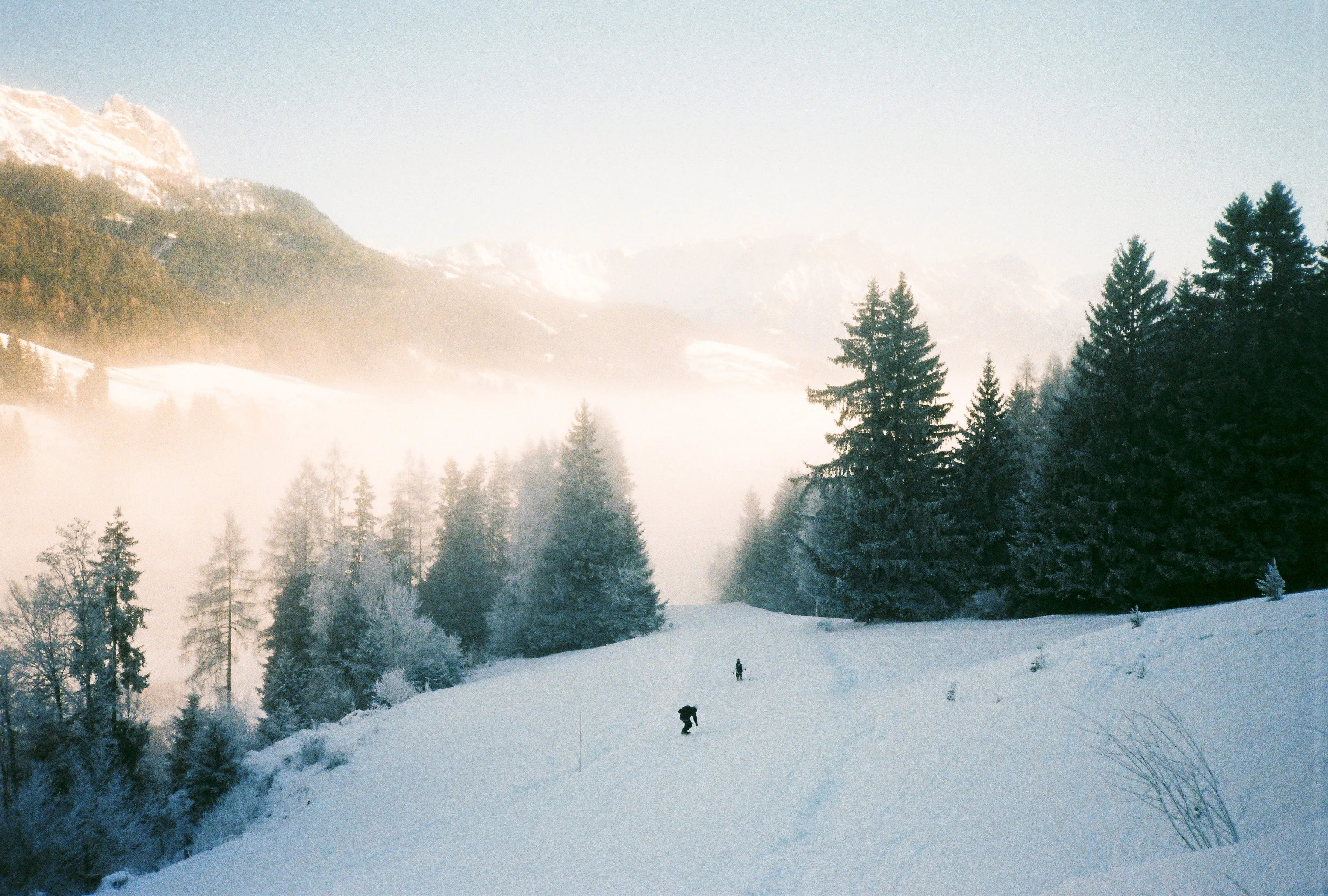 Skipiste mit Skifahrern