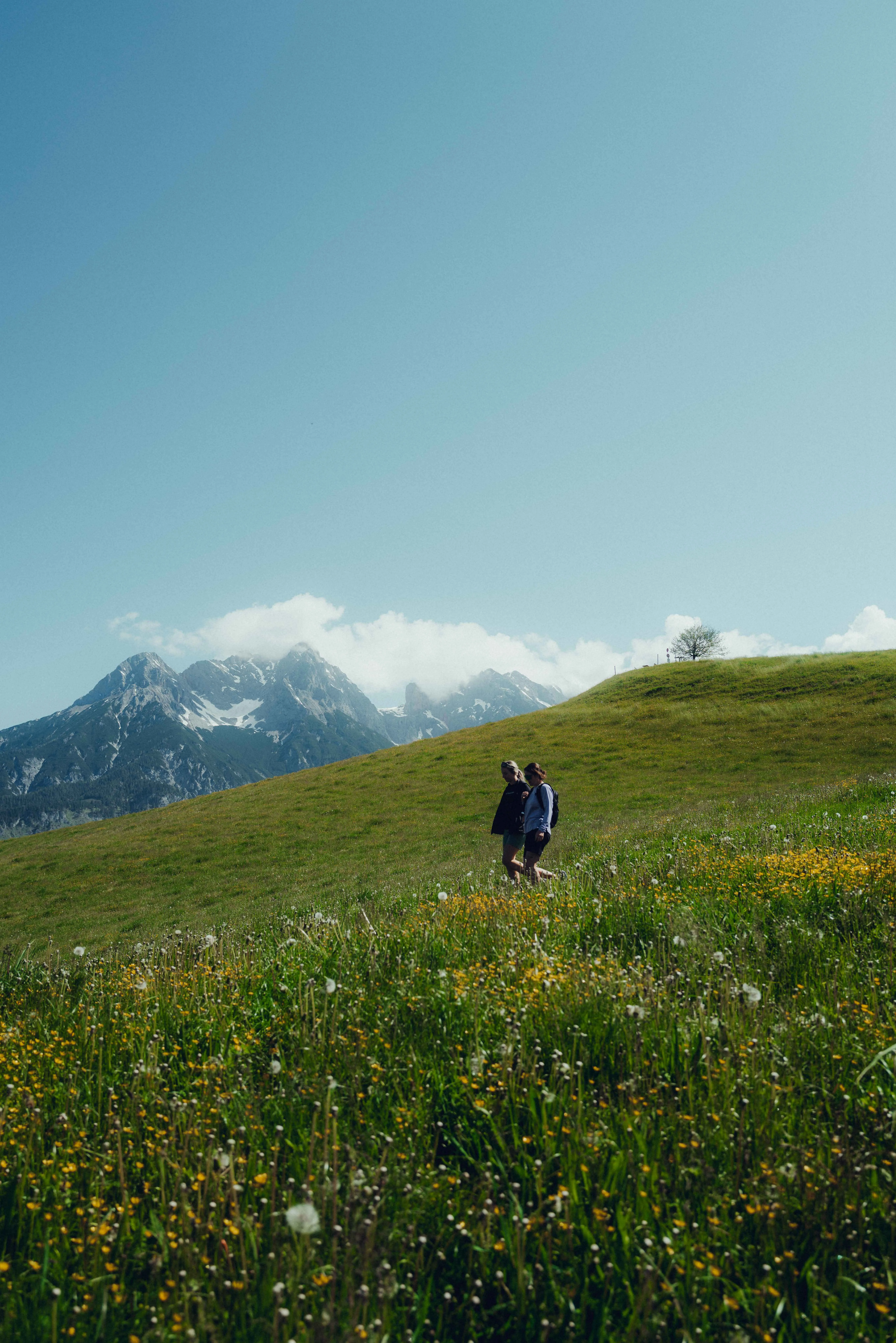 Zwei Freundinnen wandern auf einer Blumenwiese