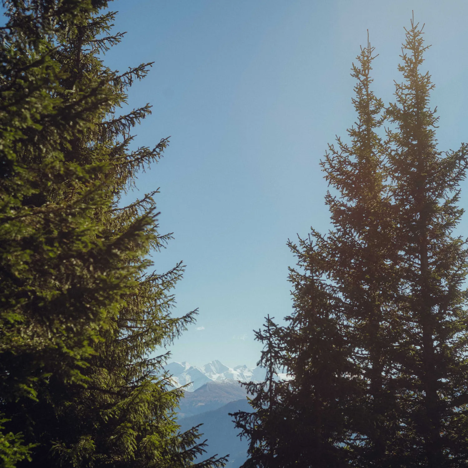 Bergpanorama