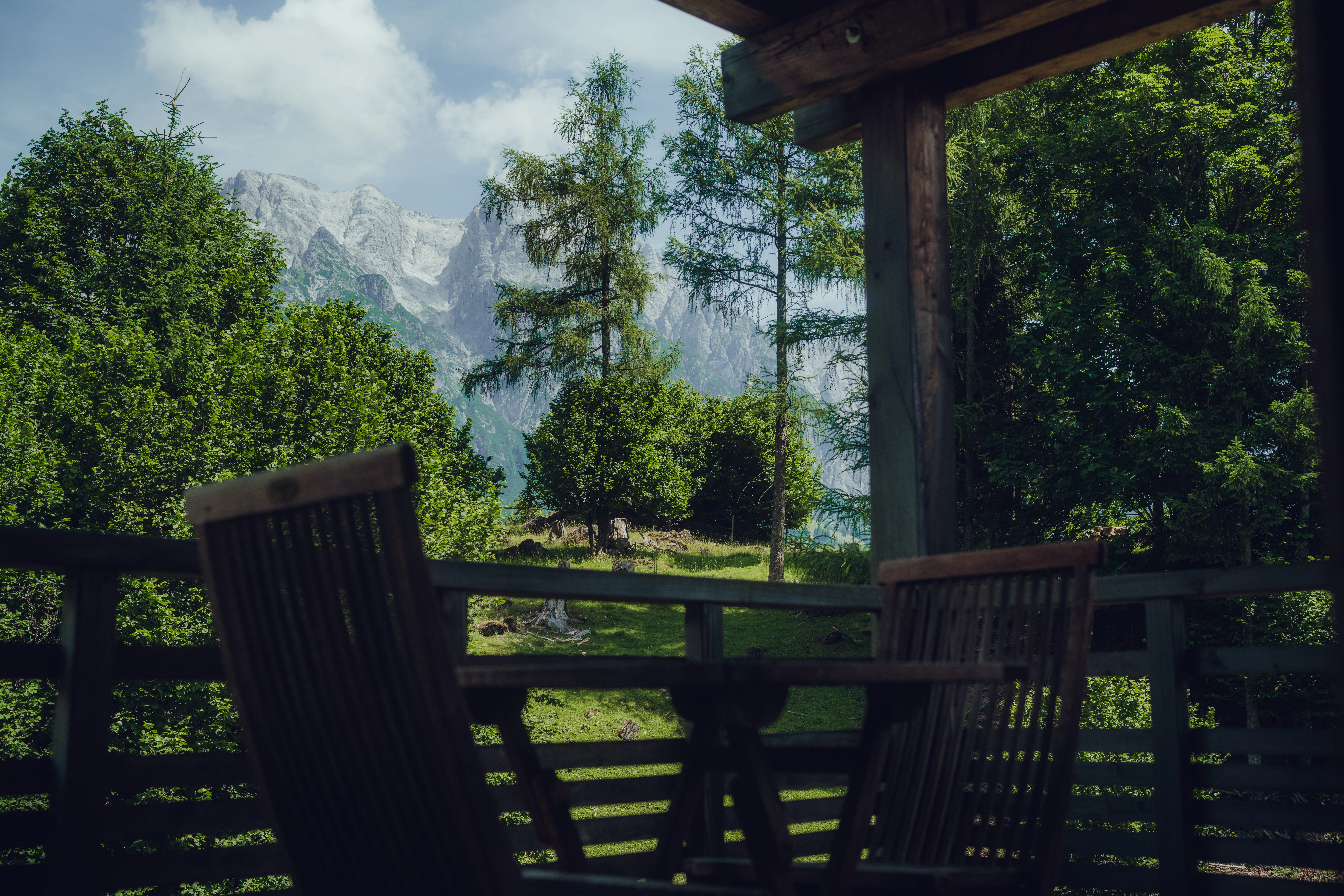 Balkon mit Waldblick