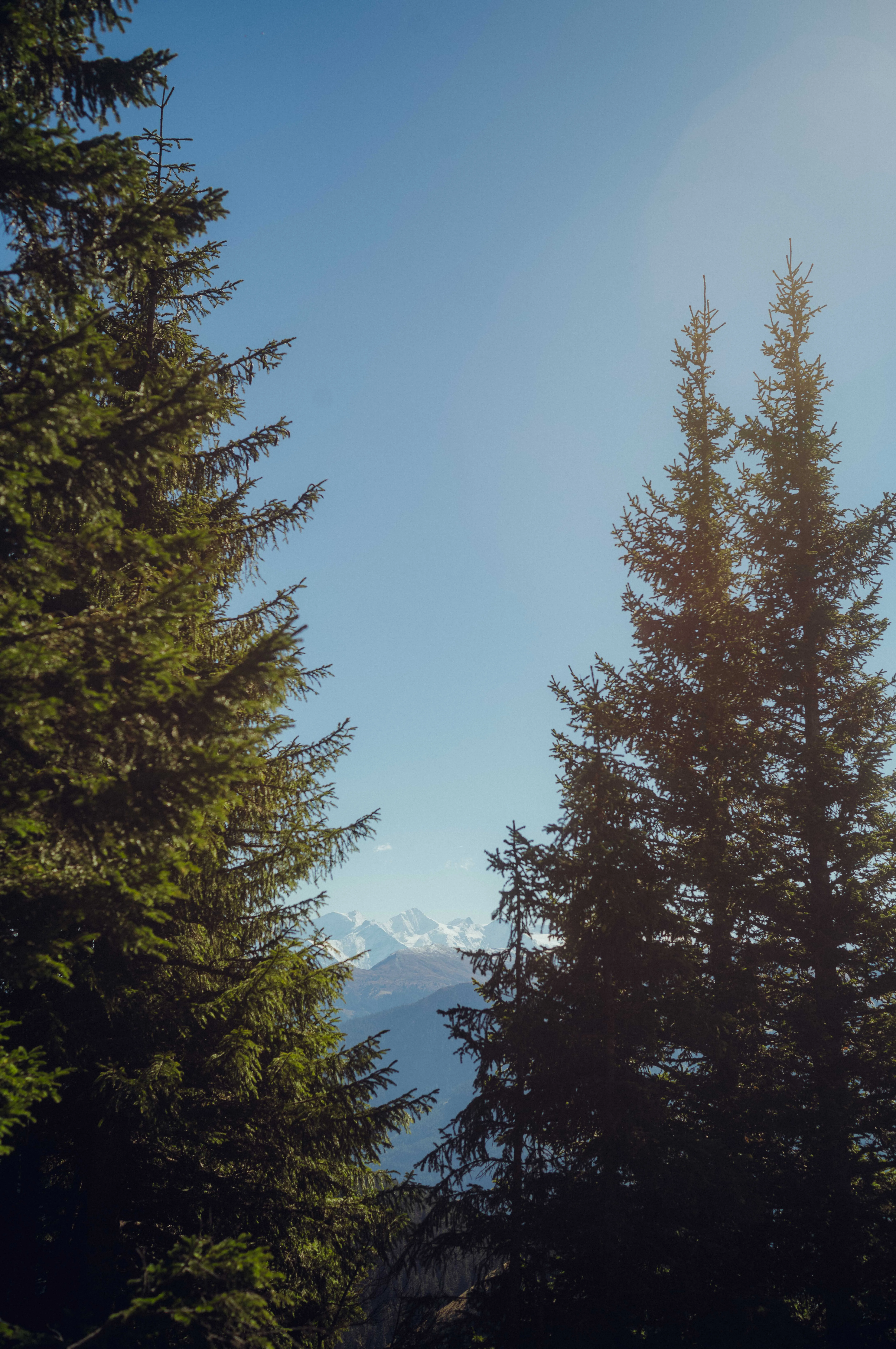 Panorama beim Wandern