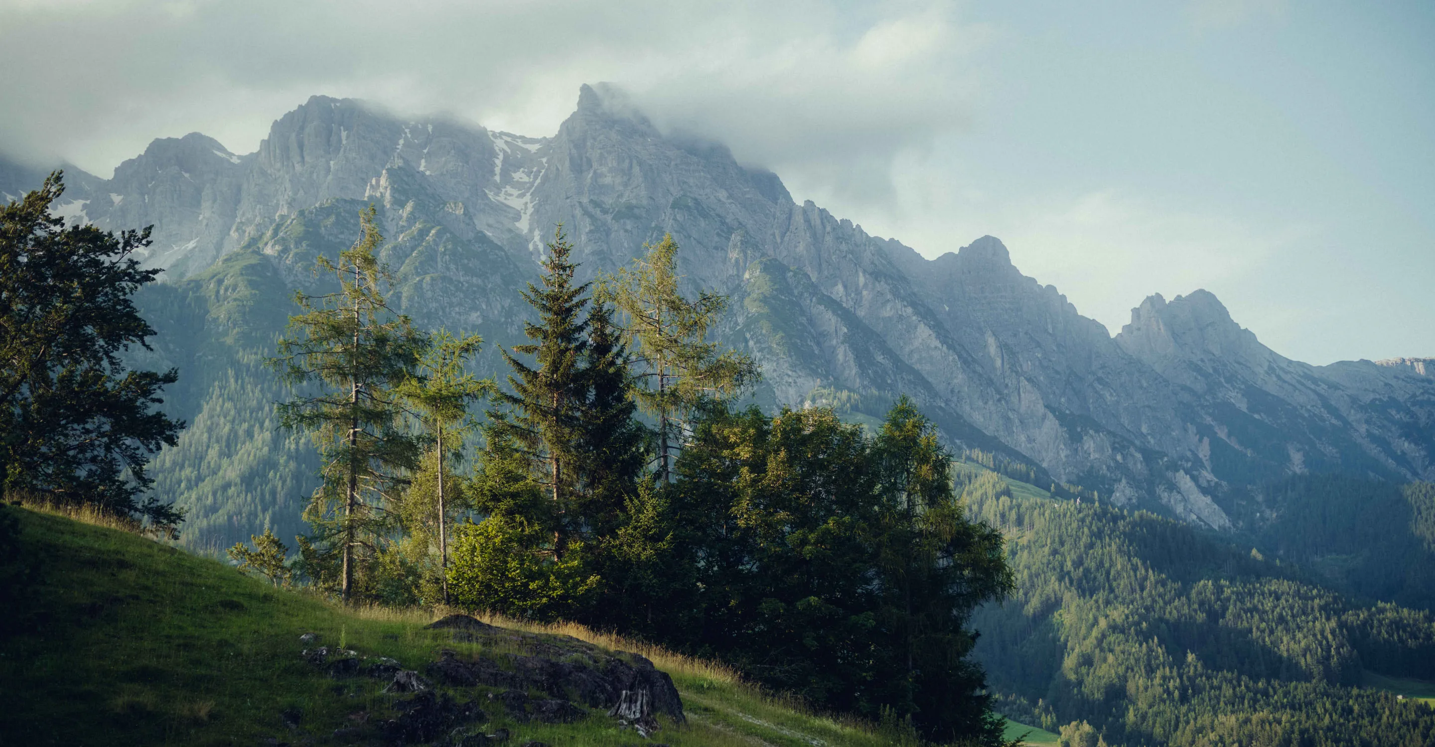 Sommerliches Bergpanorama