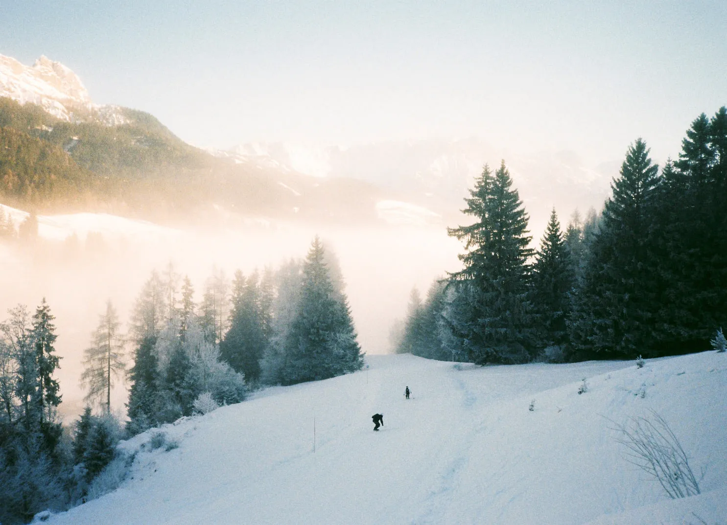 Schneebedeckte Landschaft mit Tannen und Bergansicht in Leogang