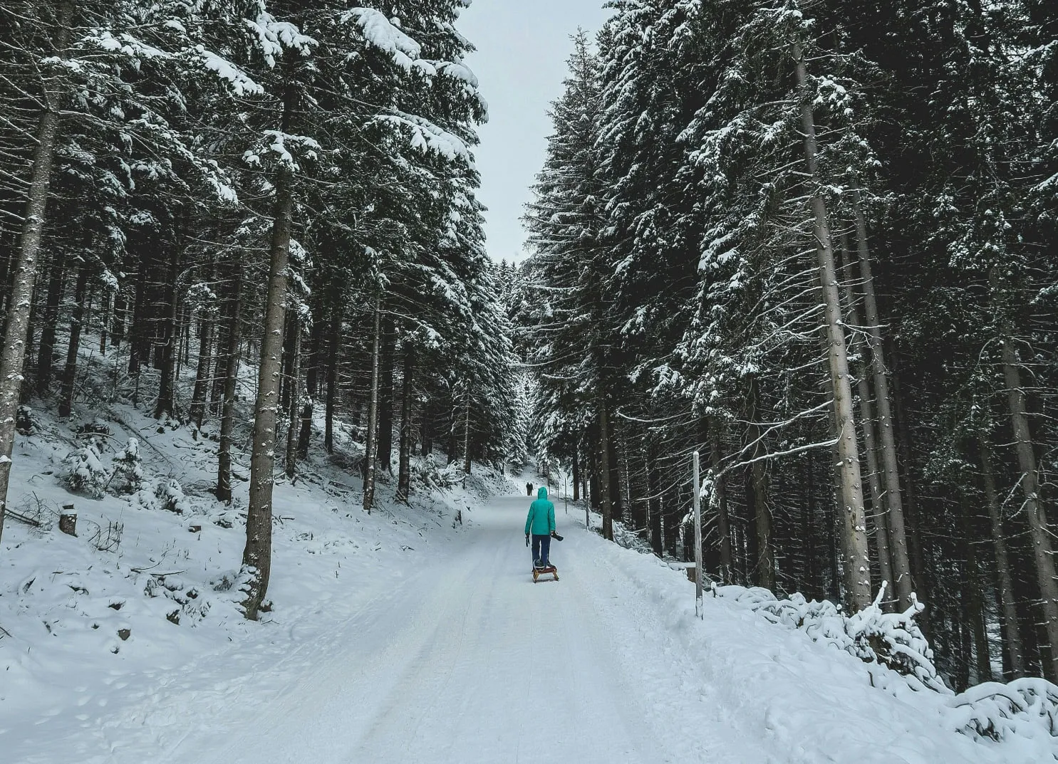 Rodeln im Winter