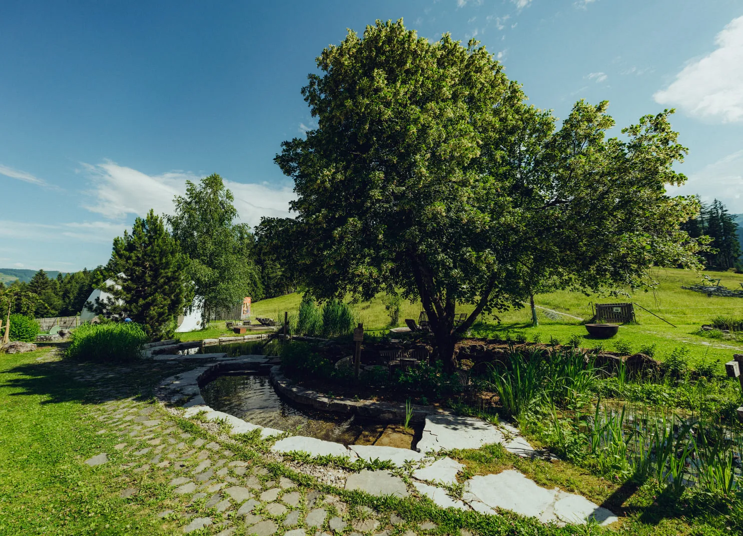 Gartenansicht mit Bäumen, Steinen und Pflanzen unter blauem Himmel