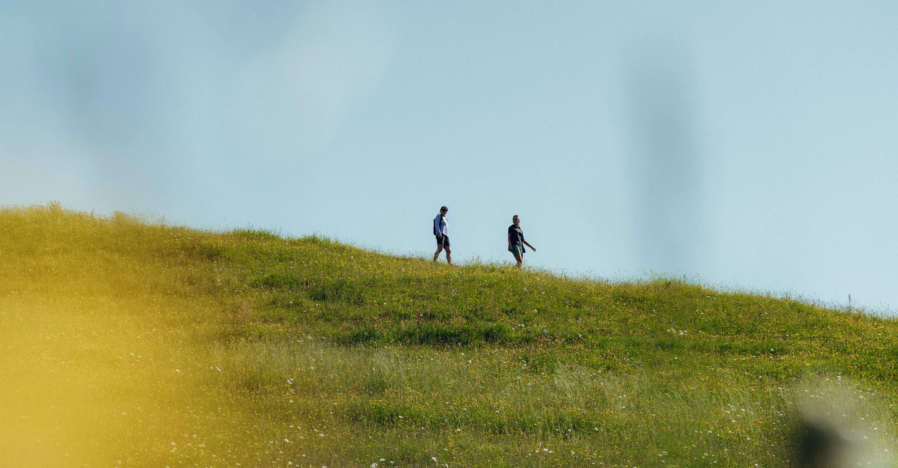 Zwei Personen wandern einen grasbewachsenen Hügel hinauf.