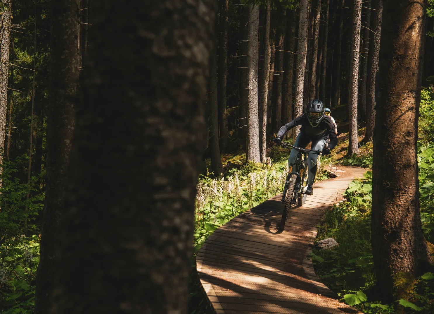 Mountainbiker auf einem Holzweg im Wald