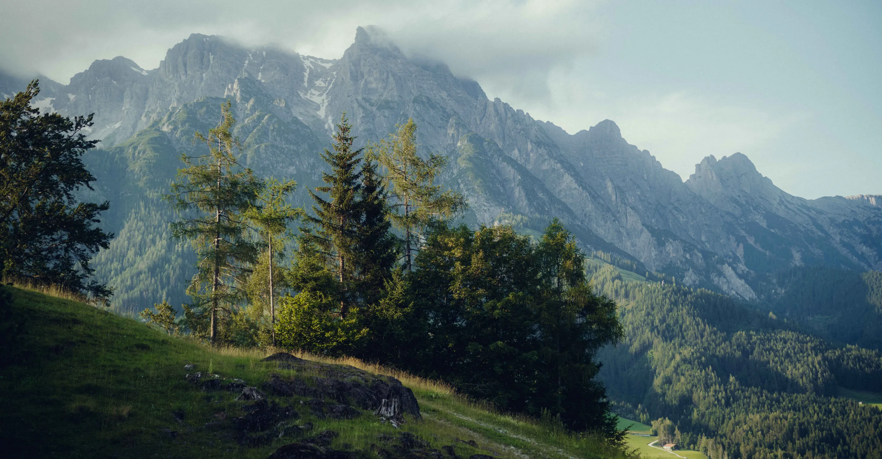 Berglandschaft mit Bäumen und grünen Wiesen im Vordergrund