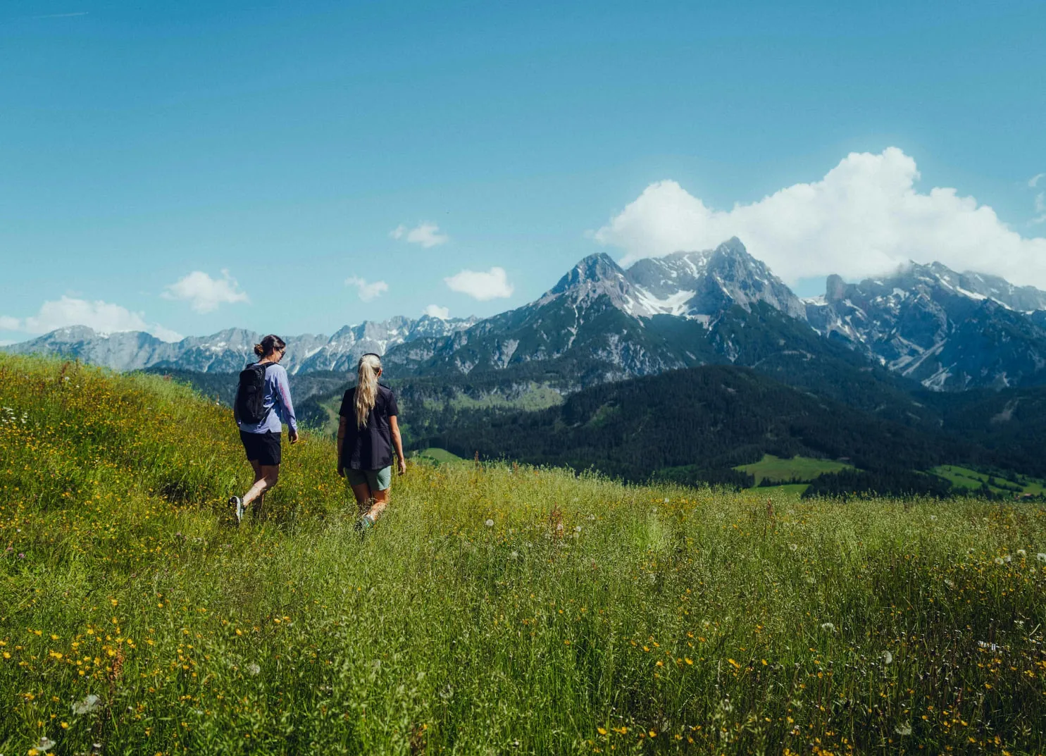 Zwei Wanderer gehen durch eine Wiese mit Blick auf Berge
