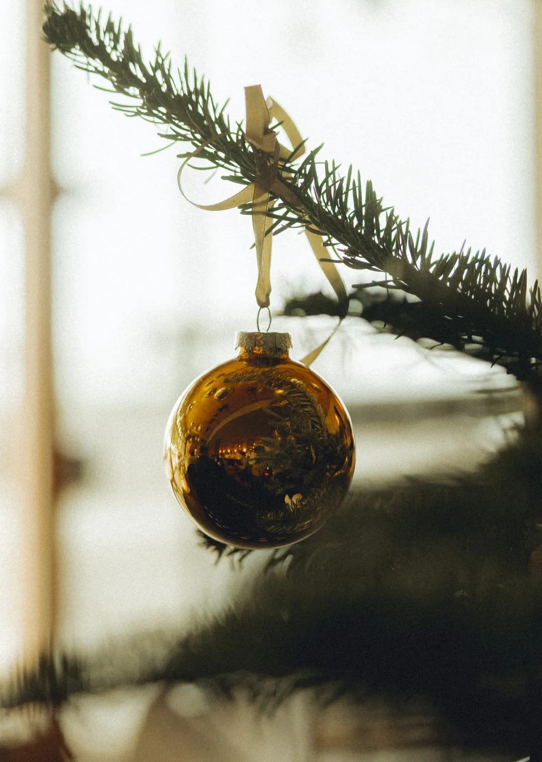 Glänzende Weihnachtsbaumkugel an einem Baumzweig
